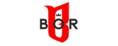 BOR / Biuro Ochrony Rapu / B.O.R